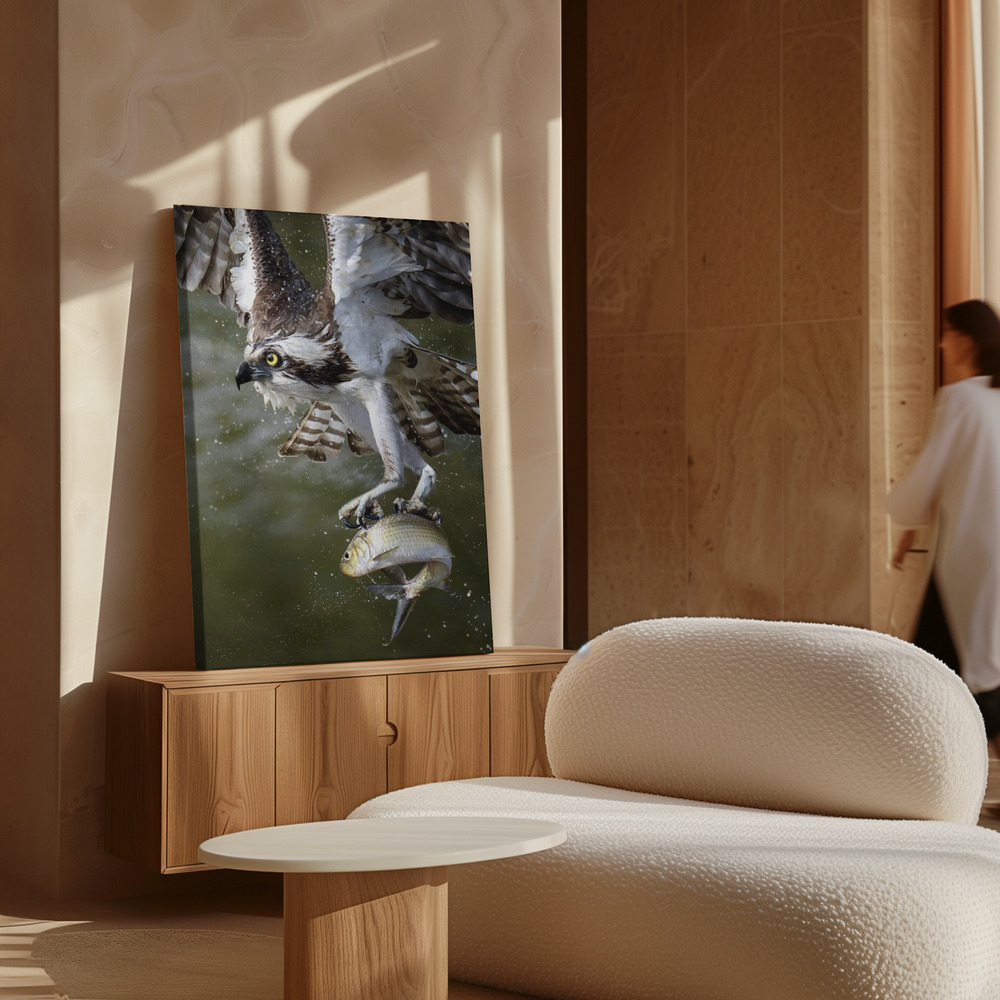 Canvas print - Osprey over cabinet