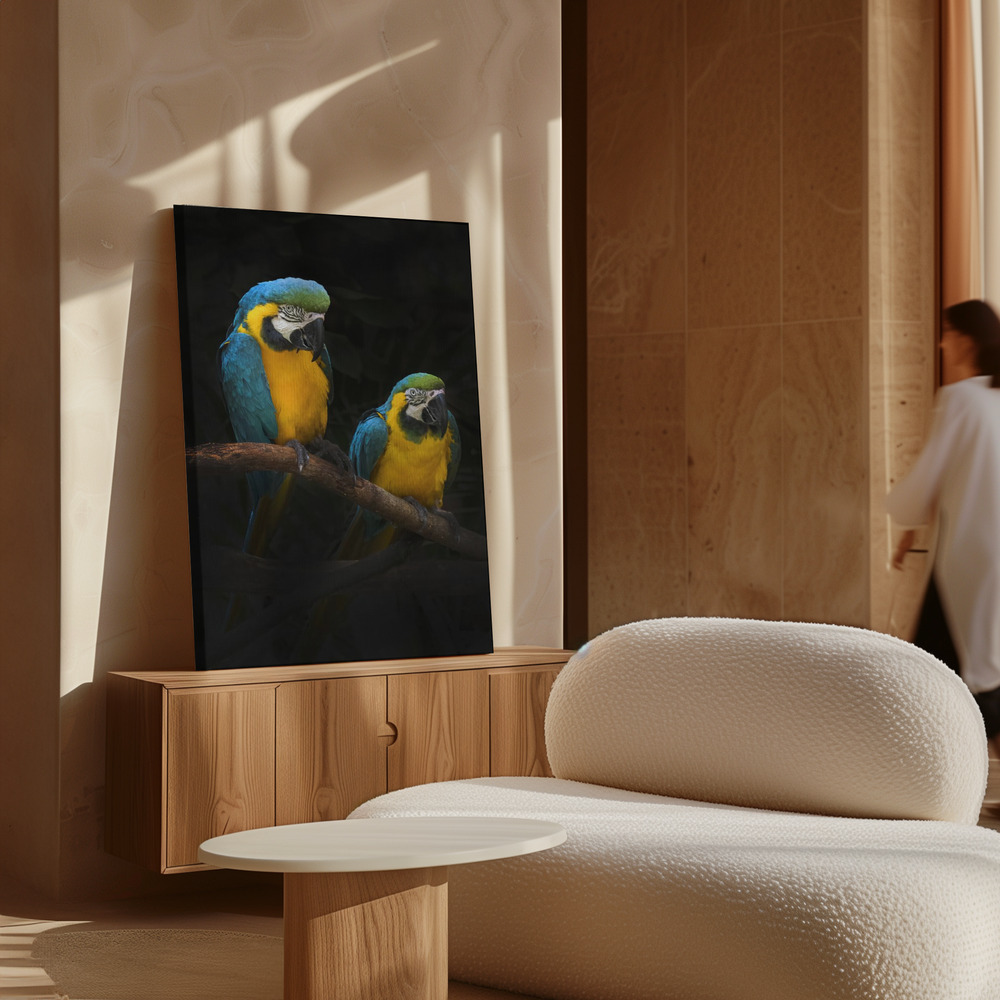 Stampe su tela - Macaw Parrots sopra il mobile
