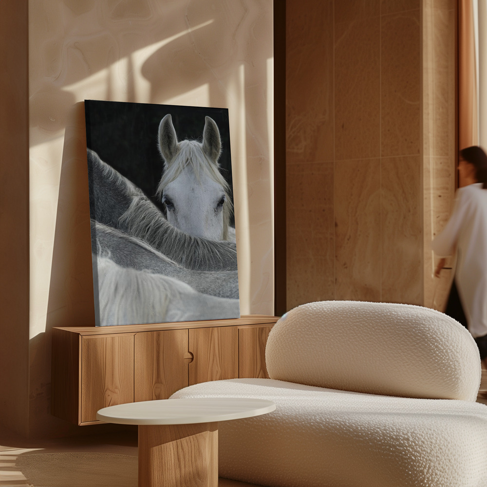 Canvas print - Look over cabinet