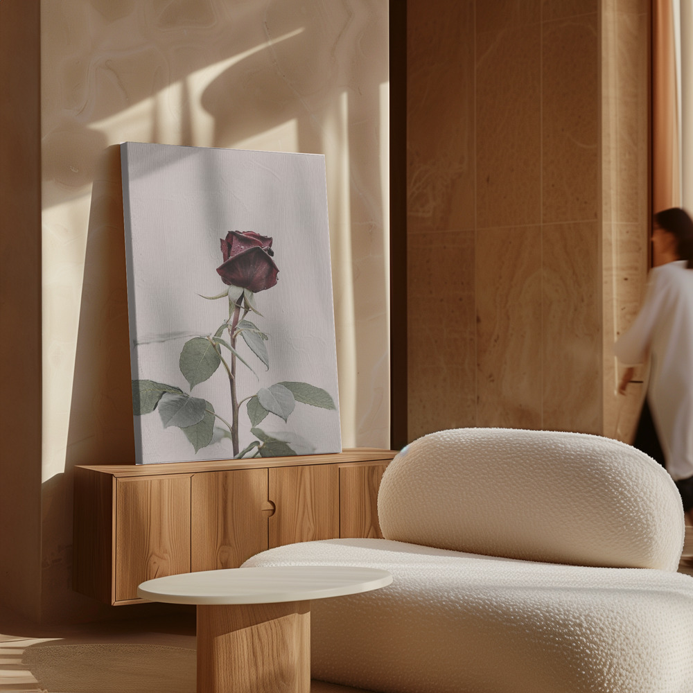 Toile - Rose au-dessus de l'armoire
