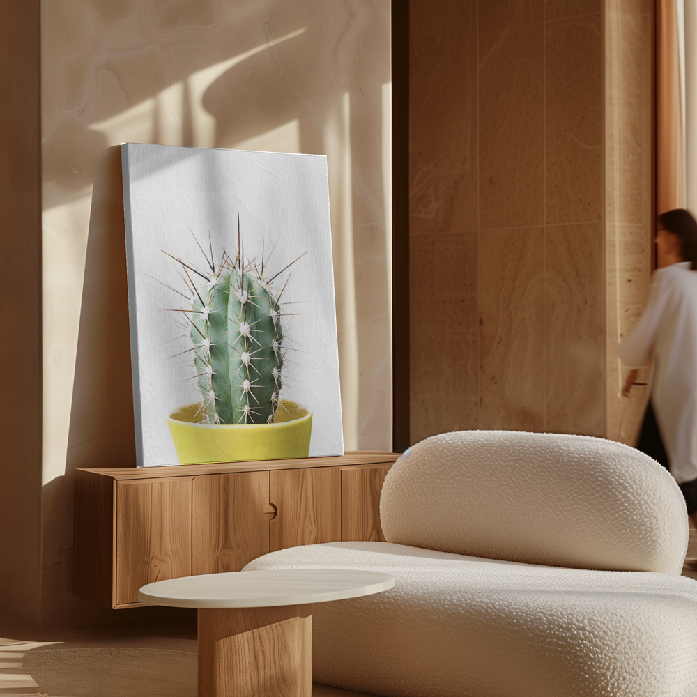 Toile - Spikey Cactus au-dessus de l'armoire