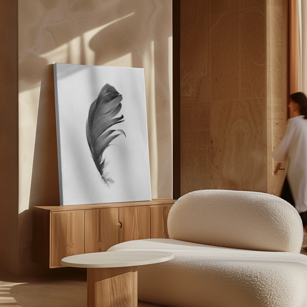 Canvas print - Feather over cabinet
