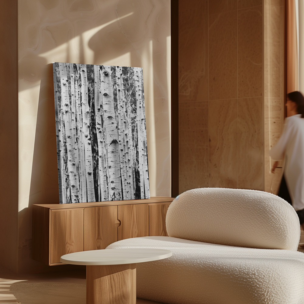 Lienzo - Birches sobre armario