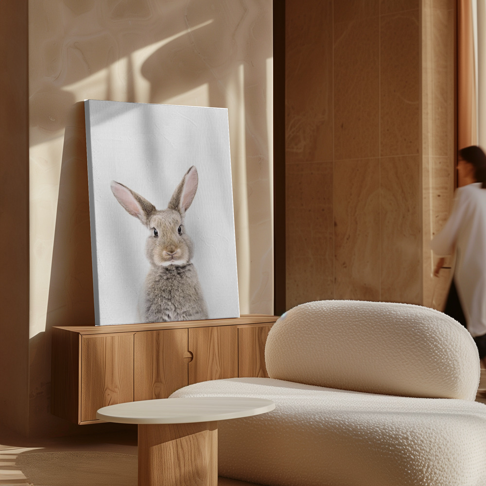 Canvas print - Baby Rabbit over cabinet