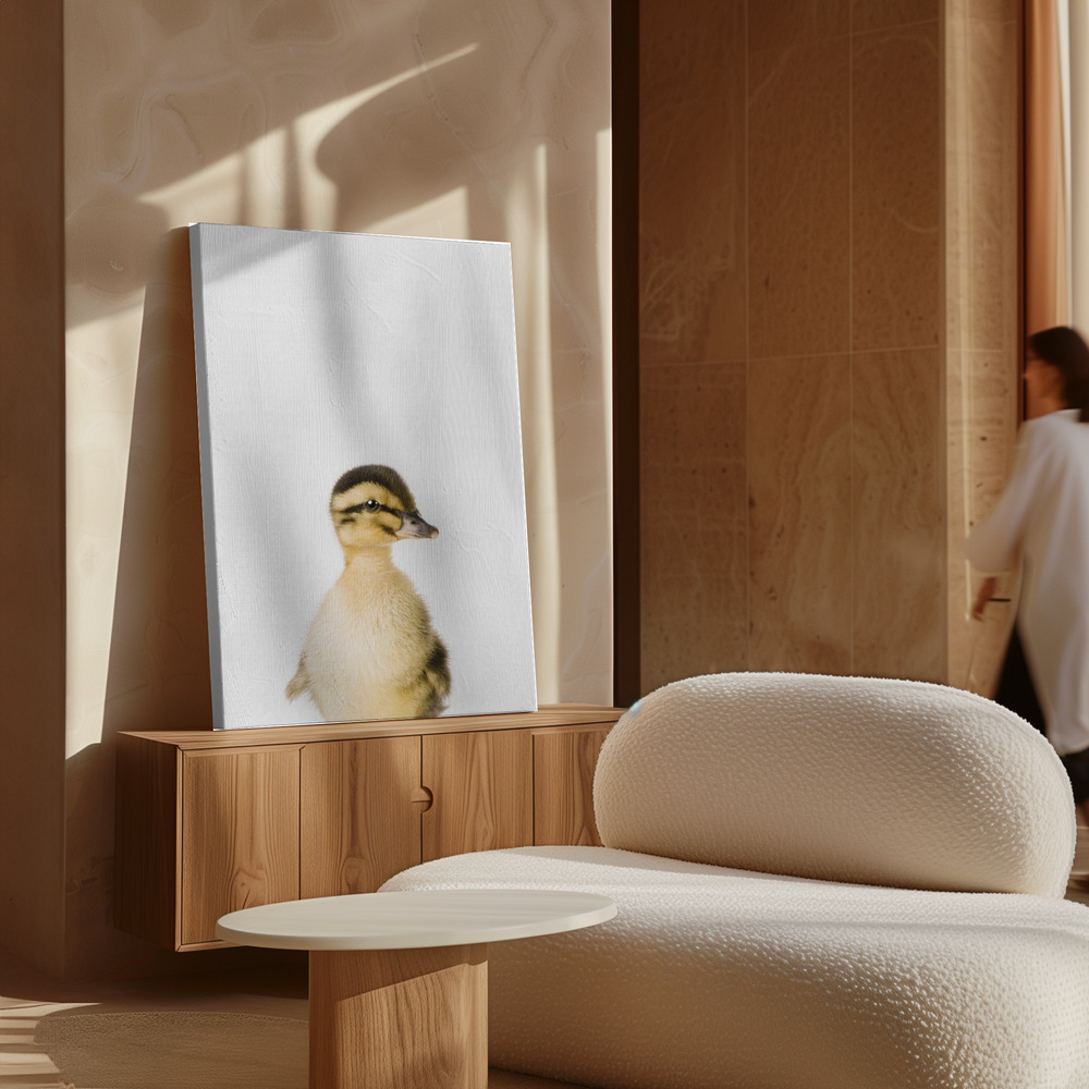 Canvas print - Baby Duck over cabinet
