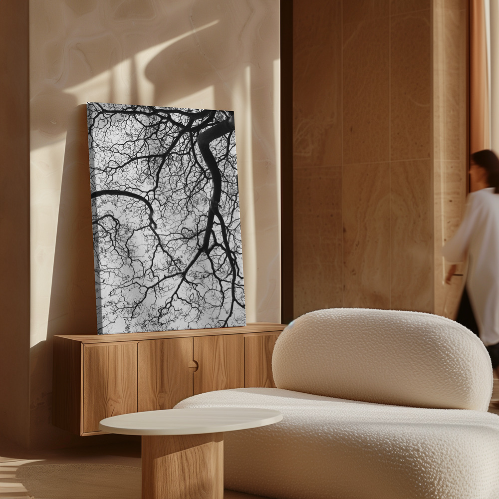 Toile - Durban Forest au-dessus de l'armoire