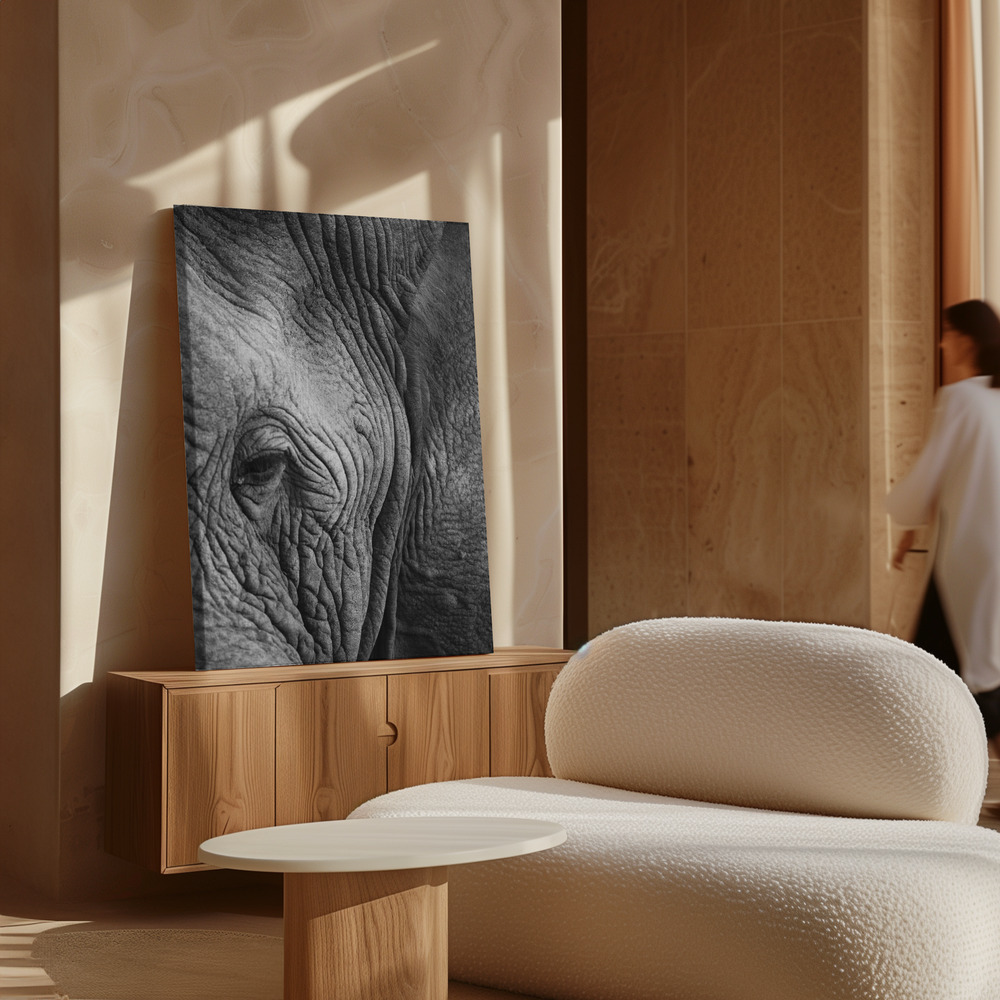 Stampe su tela - Elephant Study sopra il mobile
