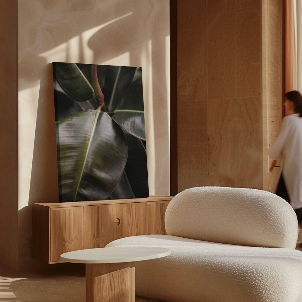 Canvas print - Ficus Bubu over cabinet