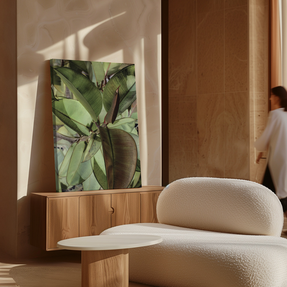 Leinwandbild - Ficus Elastica über Schrank