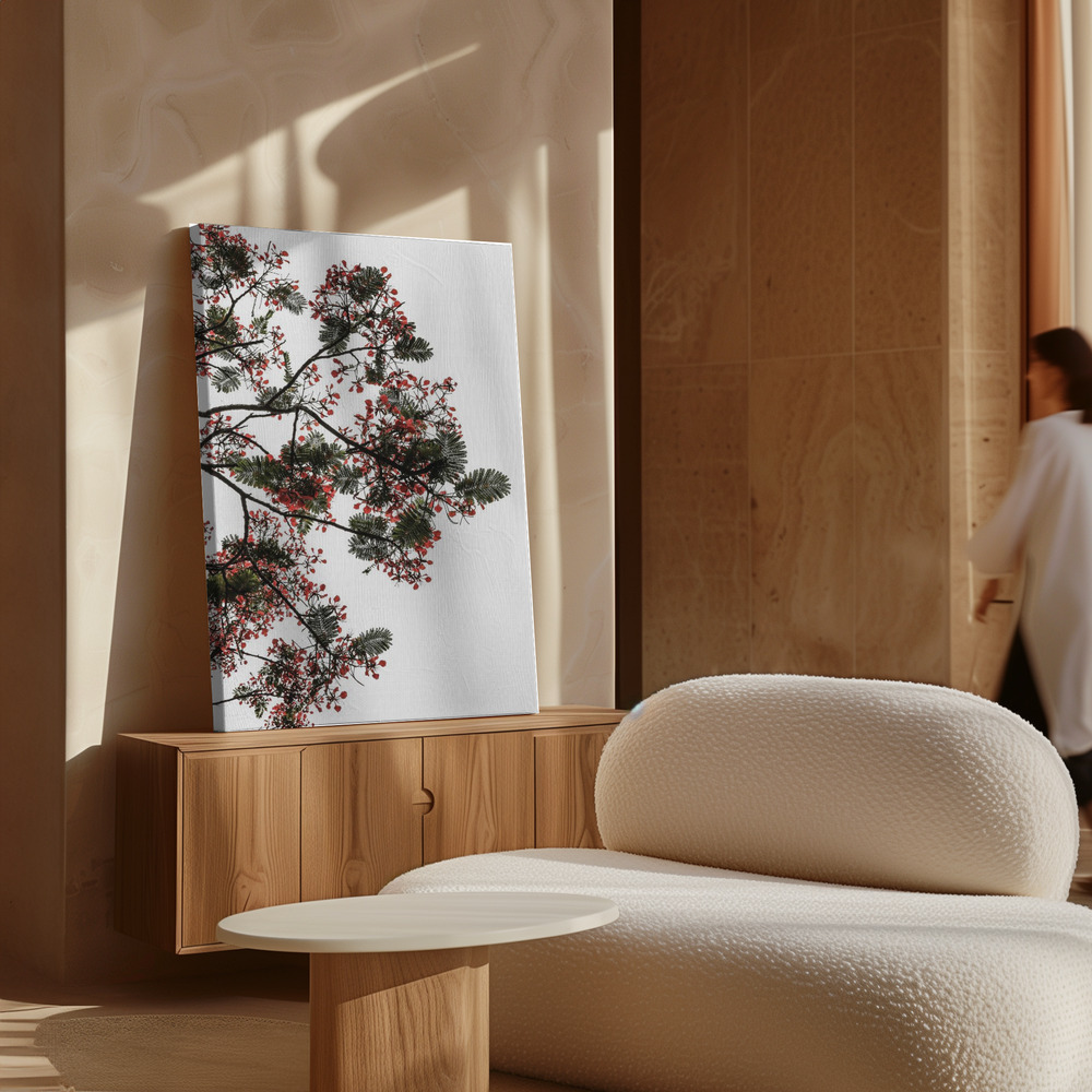 Canvas schilderi - Flamboyant boven kast