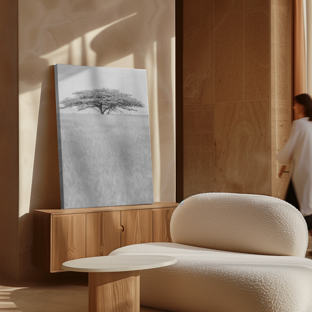 Toile - Flat Crown au-dessus de l'armoire