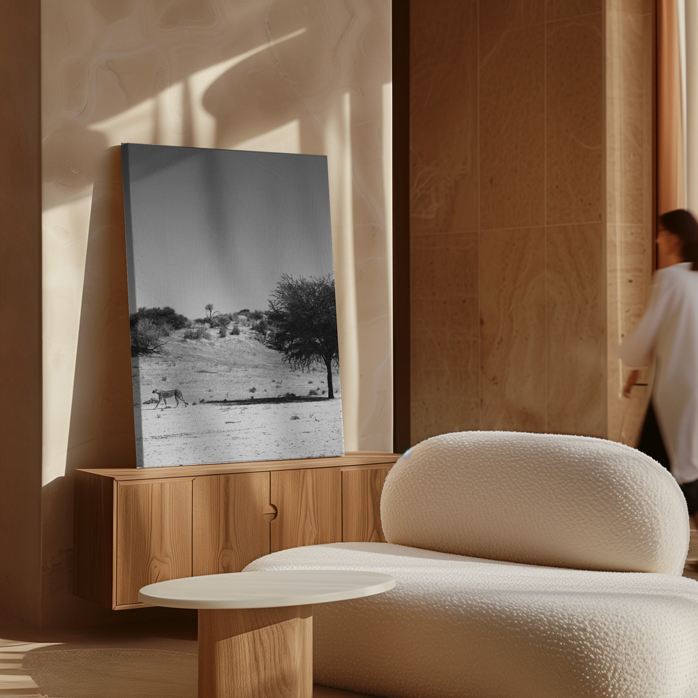Canvas print - Loner over cabinet