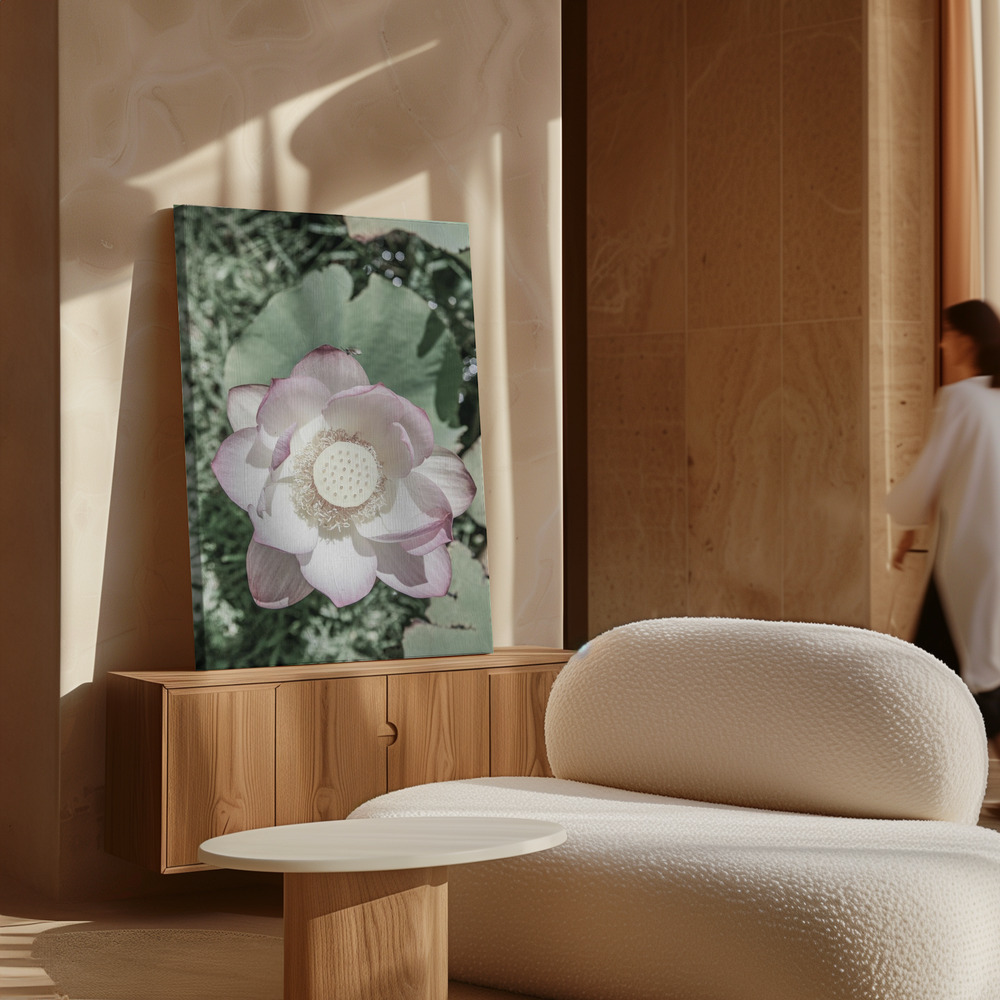 Canvas schilderi - Lotus boven kast