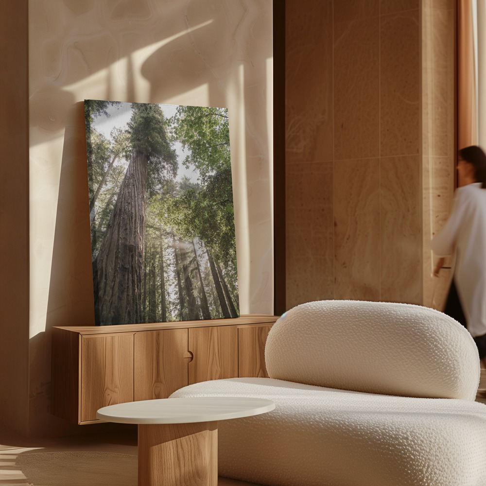 Canvas print - Redwoods over cabinet