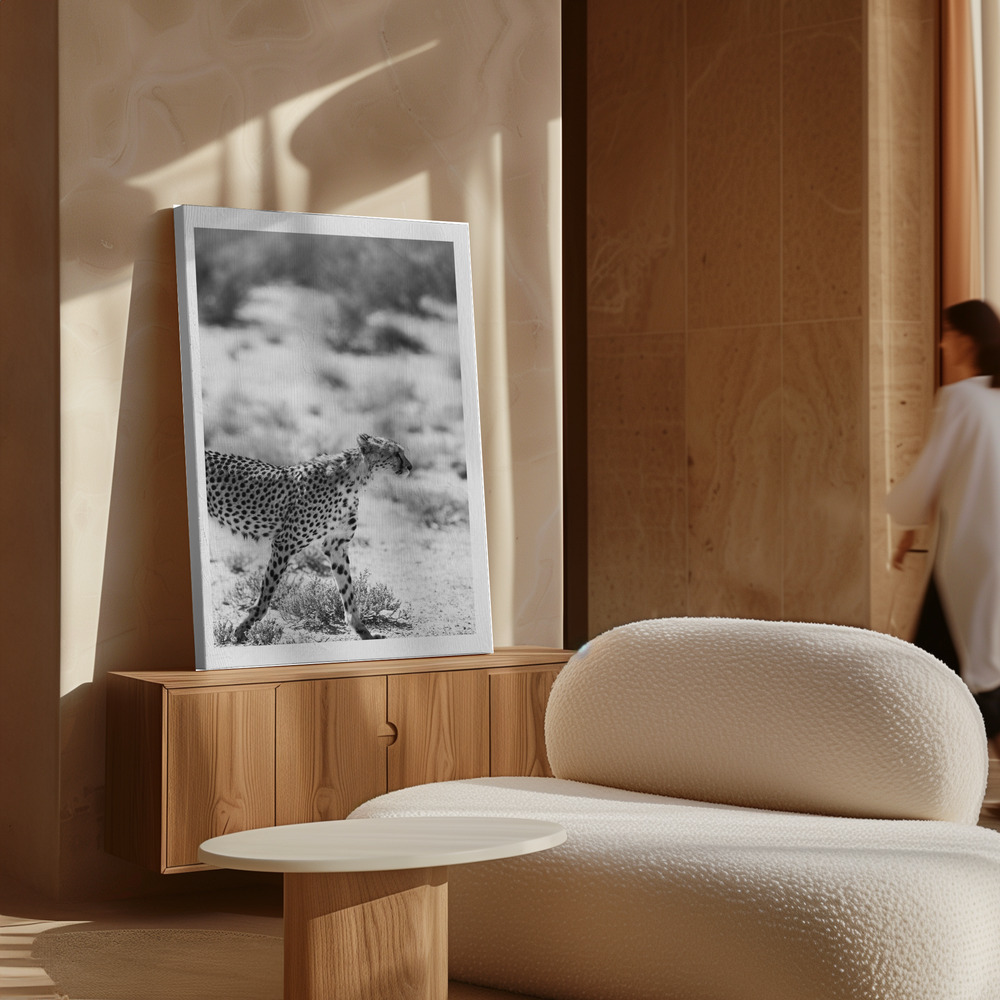 Canvas print - Safari Katjpg over cabinet