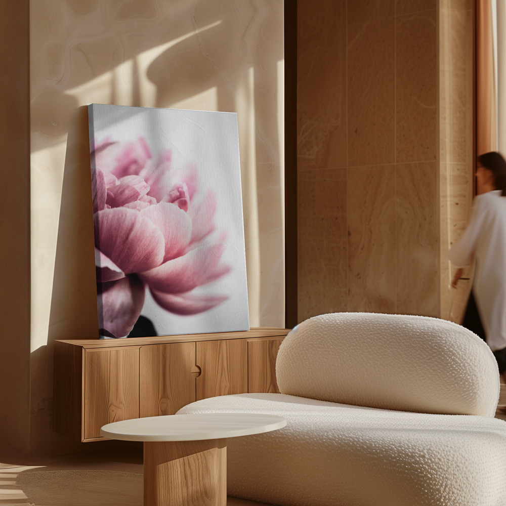 Canvas print - Peony 1 over cabinet