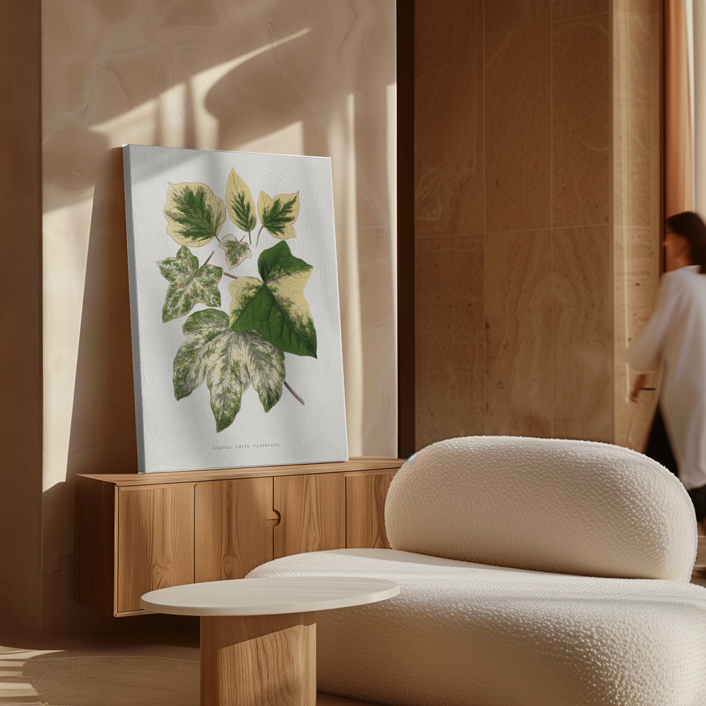 Canvas taulu - Green Leaf Illustration kaapin yläpuolella