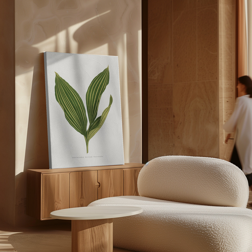 Lærred - Lily of the Valley Leaf Illustration over skab