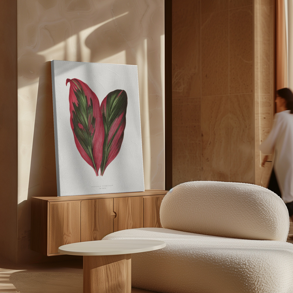 Canvas print - Pink Dracaena Terminalis Leaf Illustration over cabinet