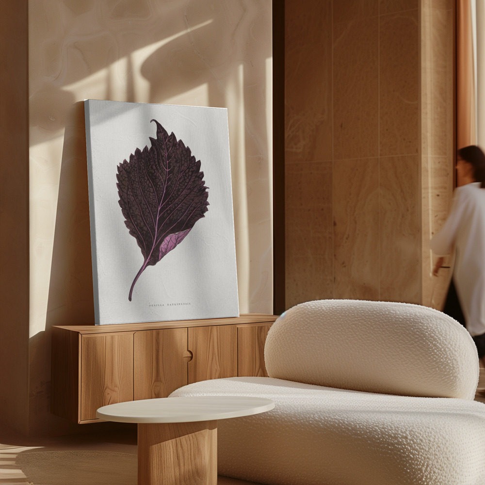 Toile - Pink Perilla Nankinensis Leaf Illustration au-dessus de l'armoire