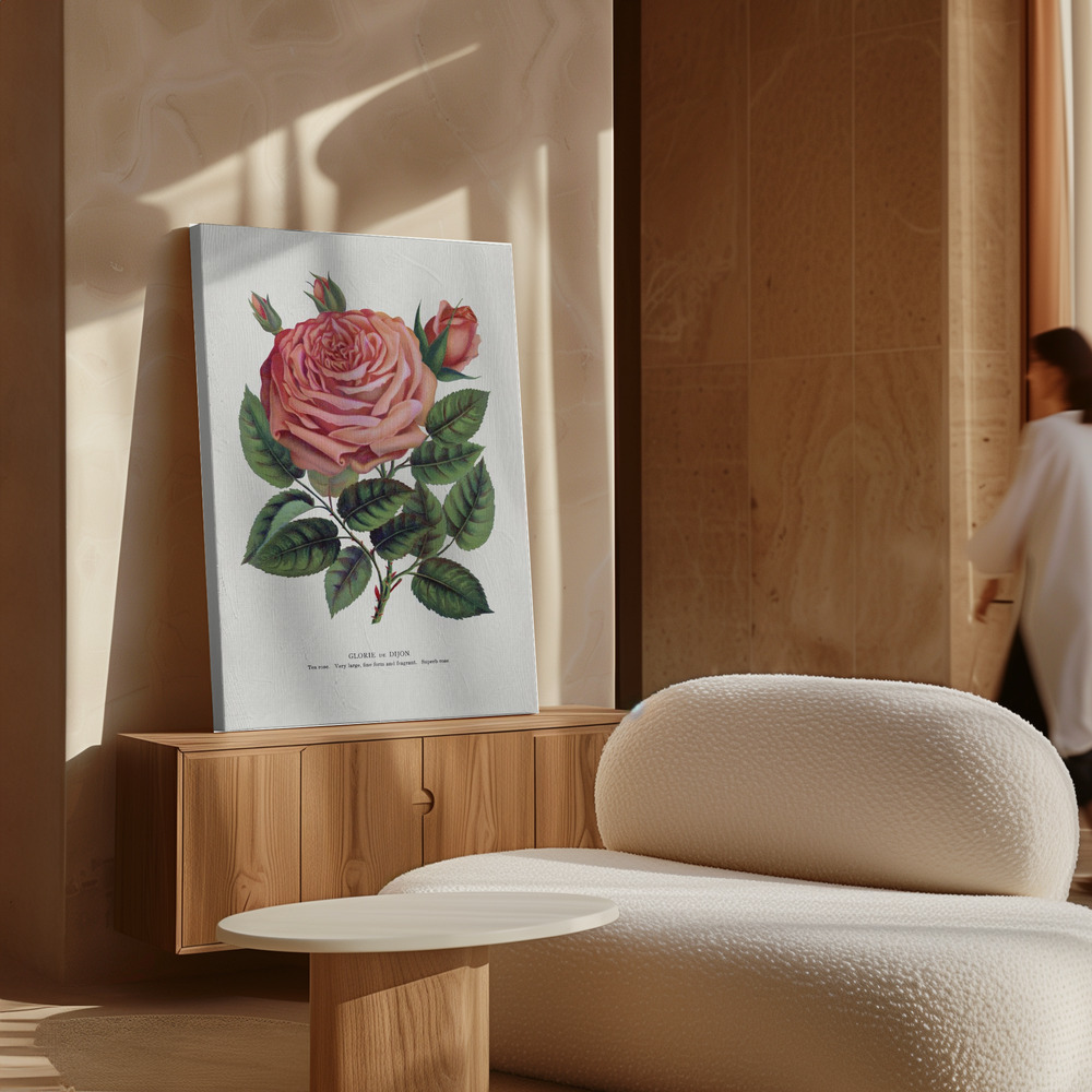 Lienzo - Pink Rose, Glorie De Dijon Lithograph sobre armario