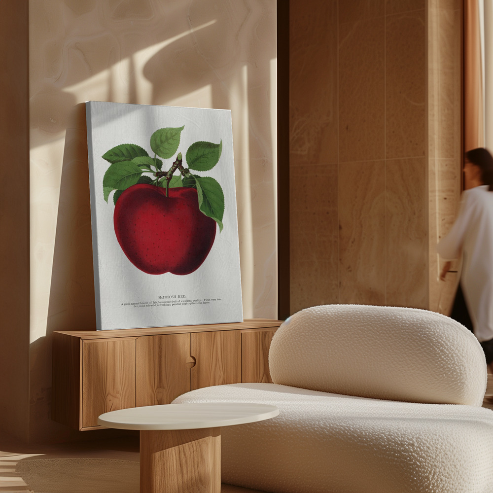 Canvas schilderi - Mcintosh Red Apple Lithograph boven kast