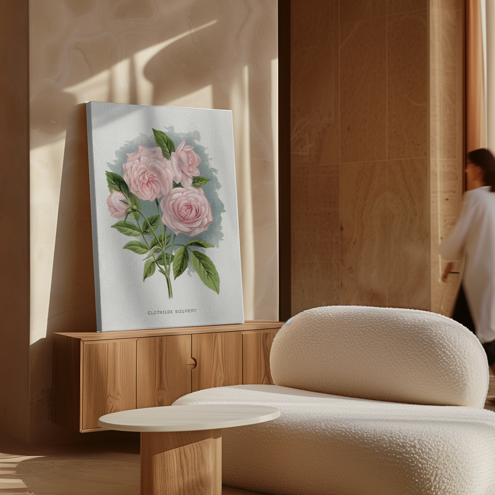 Canvas print - Pink Rose, Clothilde Soupert Lithograph over cabinet