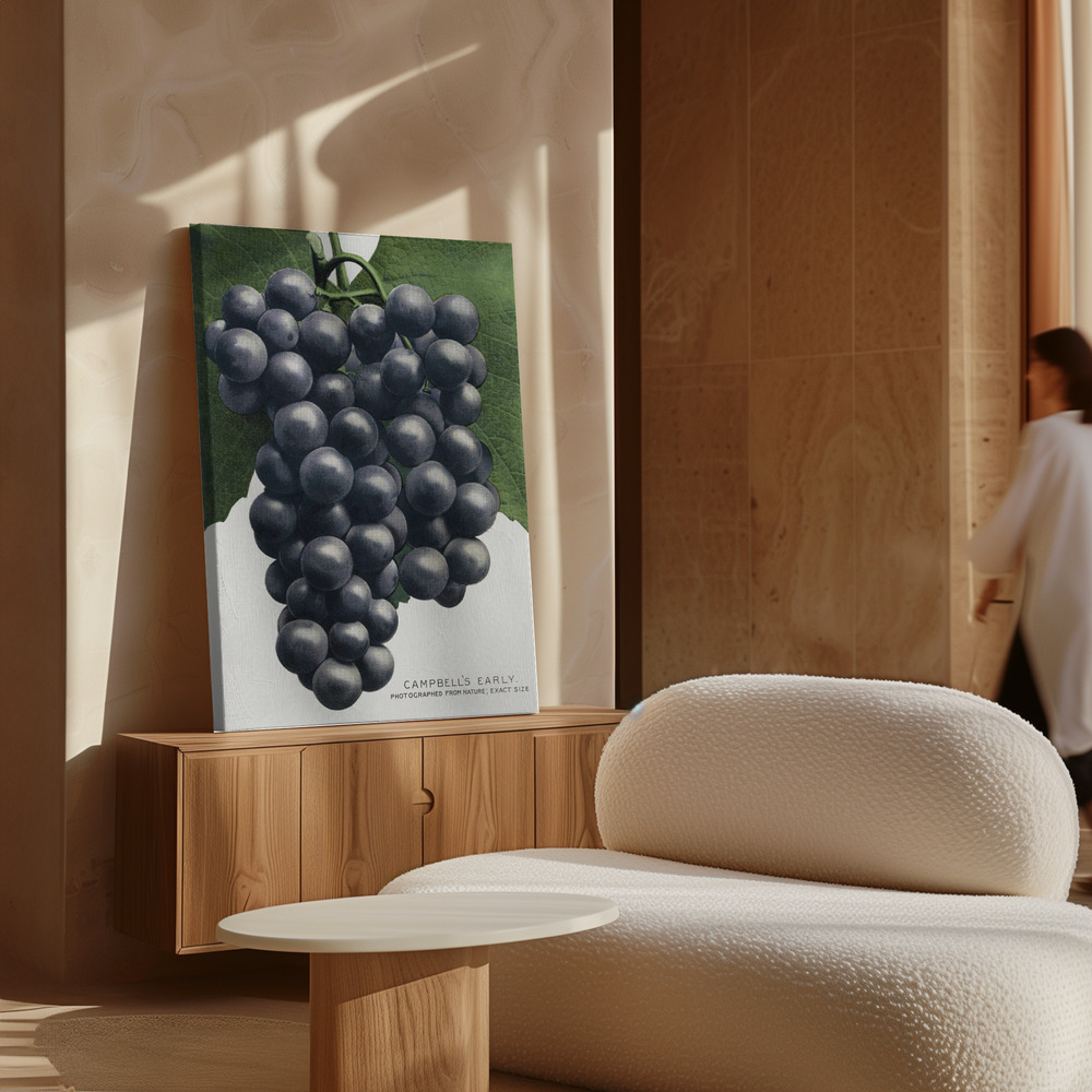 Canvas schilderi - Campbell's Early Grape Lithograph boven kast