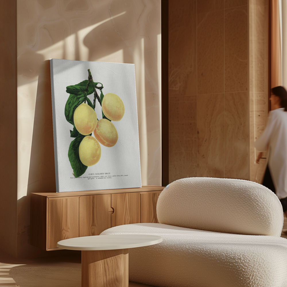 Canvas print - Coe's Golden Drop Plum Lithograph over cabinet