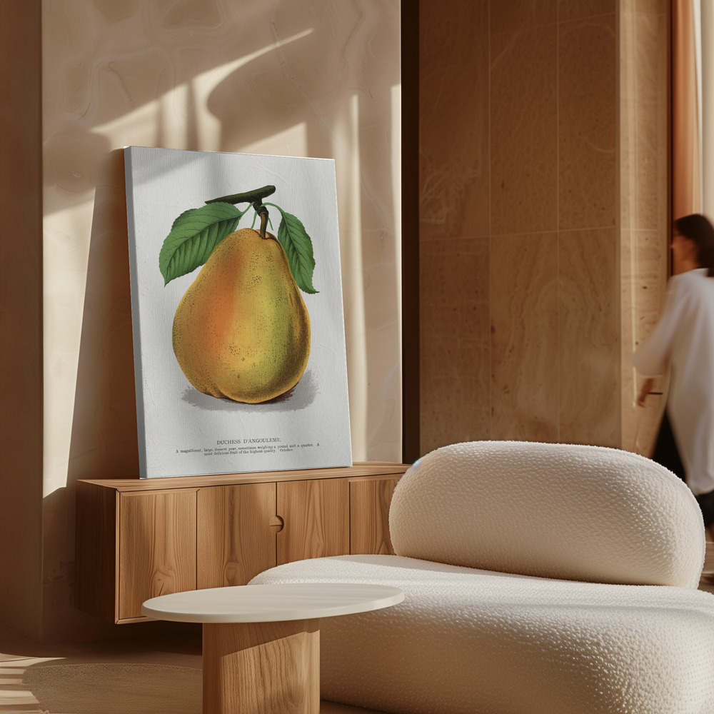 Canvas print - Duchess D'angouleme Pear Lithograph over cabinet