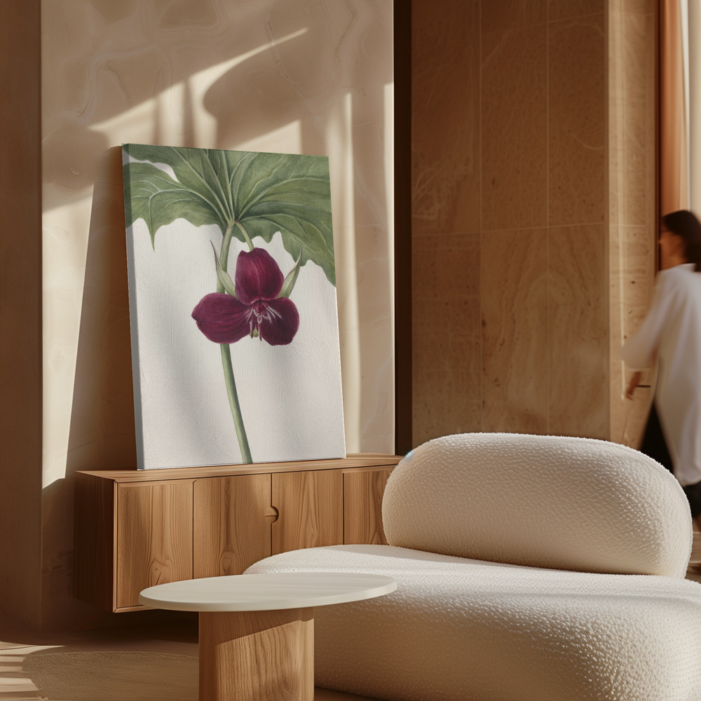 Canvas schilderi - Sweet Trillium boven kast