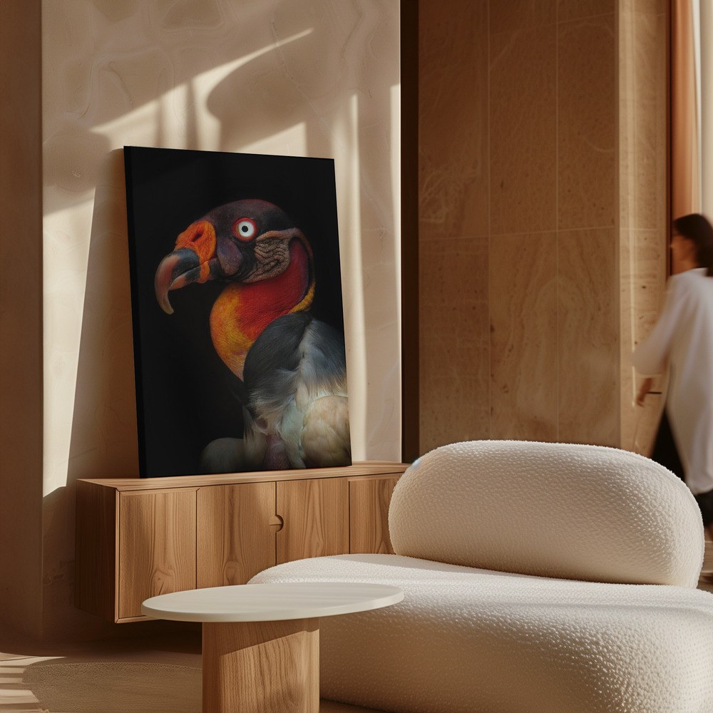 Leinwandbild - King vulture-Sarcoramphus papa über Schrank