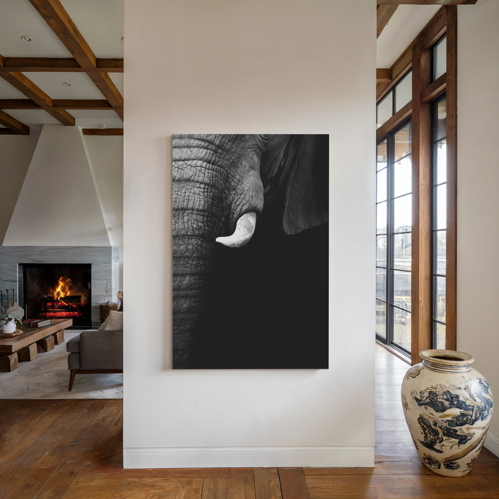 Stampe su tela - Elephant Portrait accanto al camino