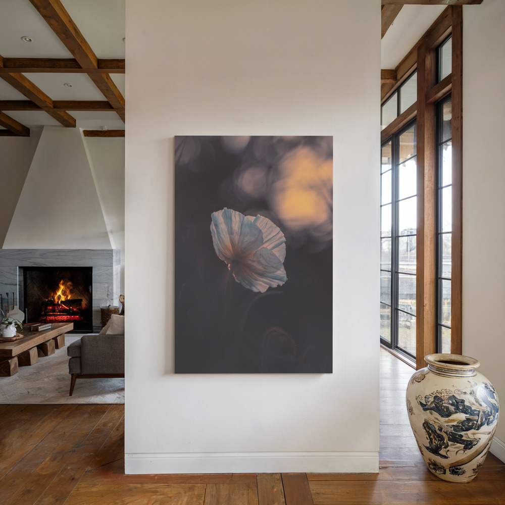 Toile - Last Ray au coin du feu