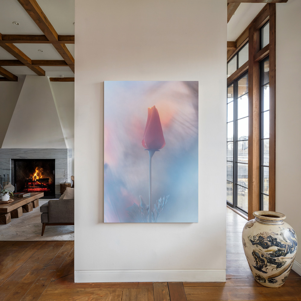 Toile - Douceur & Volupté au coin du feu