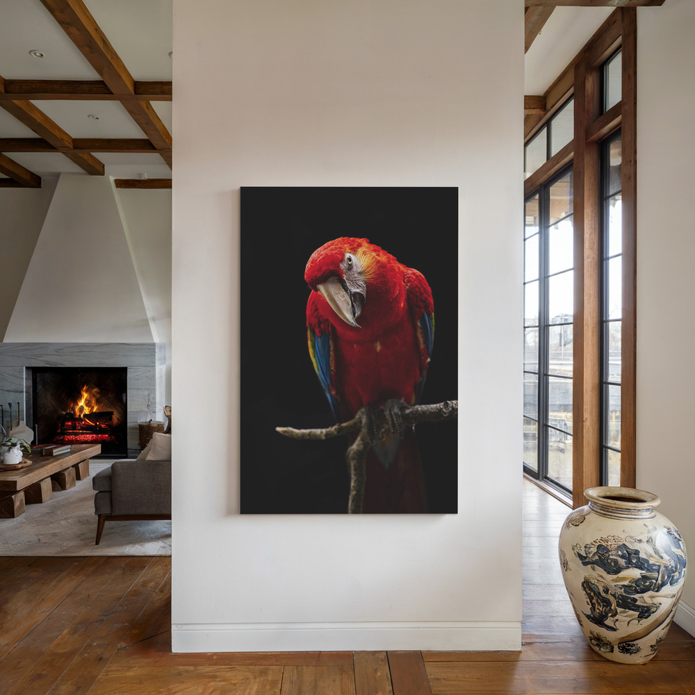 Lienzo - Portrait of Scarlet Macaw junto a la chimenea