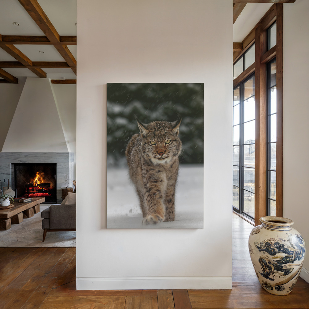 Lærred - Meet the lynx ved pejsen
