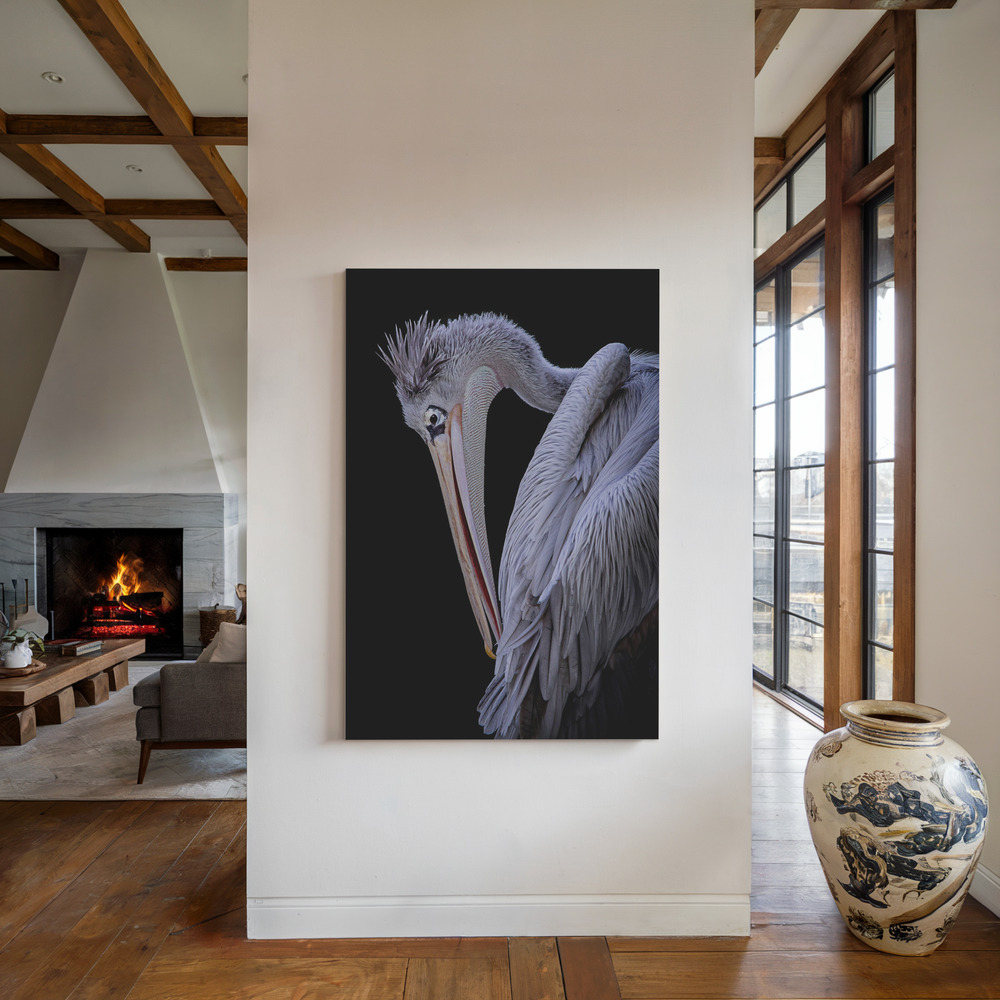 Canvas taulu - Pensive Pelican takan ääressä