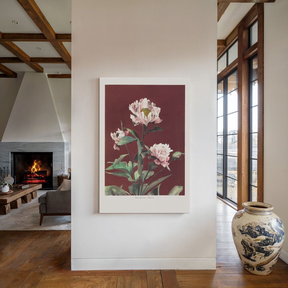 Obraz na płótnie - Hærdaceous Peony no2 przy kominku