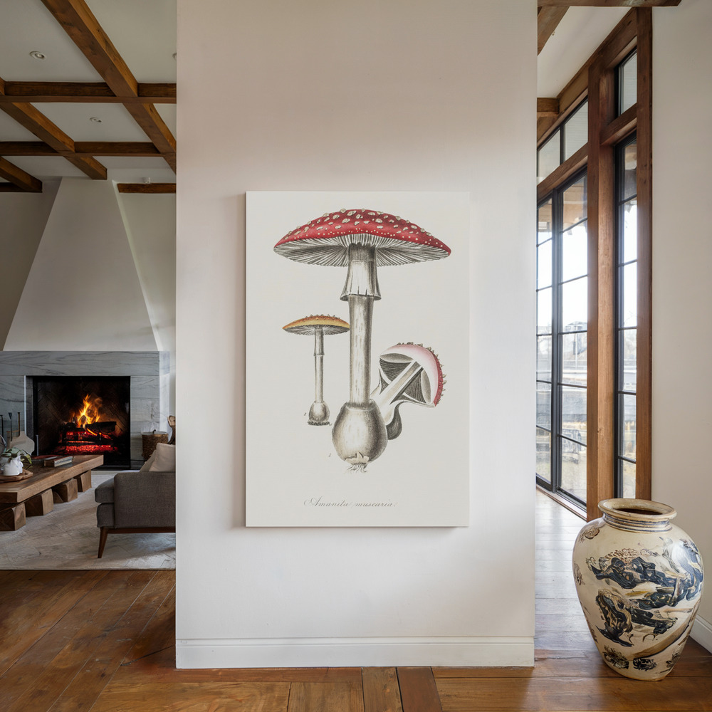 Stampe su tela - Amanita Muscaria Illustration. Medical Botany 1836 accanto al camino