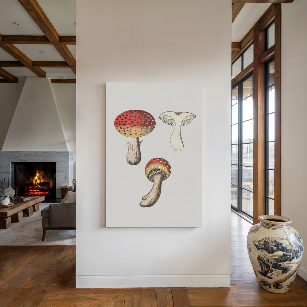 Canvas print - Hand Drawn Fly Agaric Mushroom by the fireplace