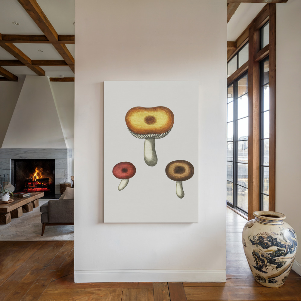 Canvas print - Hand Drawn Galerina Mushroom by the fireplace