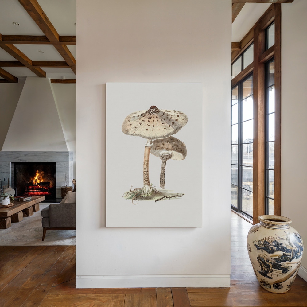 Canvas print - Hand Drawn Parasol Mushroom by the fireplace
