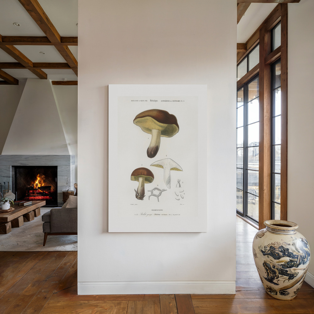 Canvas print - Mushroom (boletus Circinans) by the fireplace