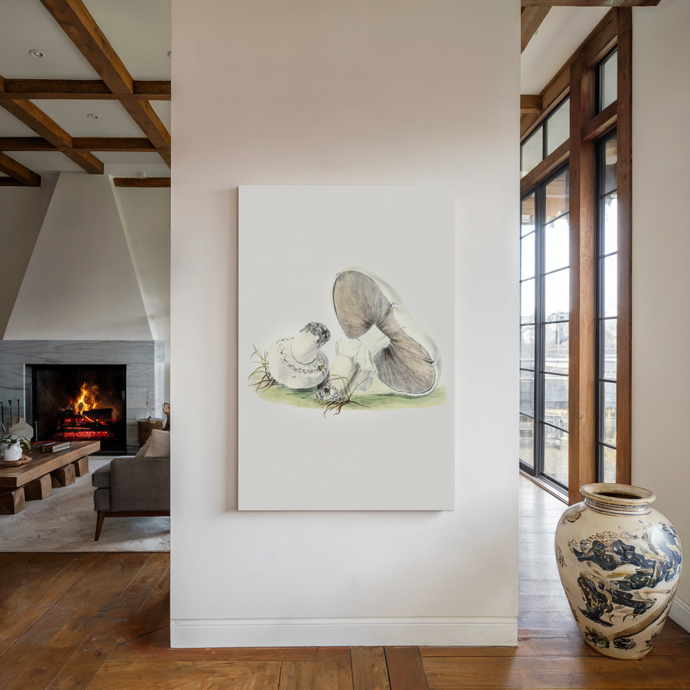 Canvas print - Hand Drawn Horse Mushroom Standing by the fireplace