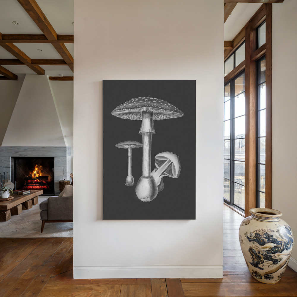 Stampe su tela - Amanita Muscaria Dark Background BW accanto al camino