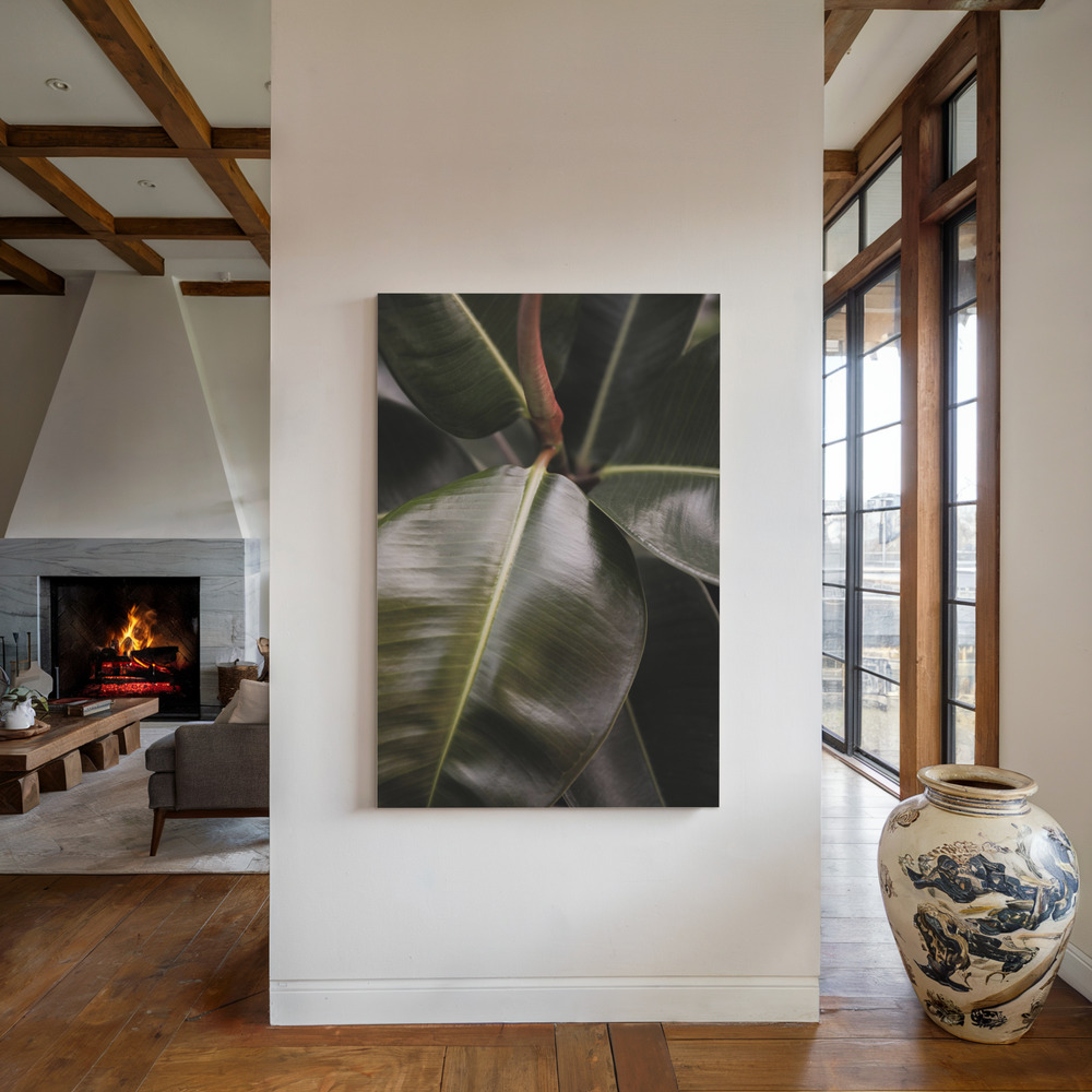 Canvas print - Ficus Bubu by the fireplace