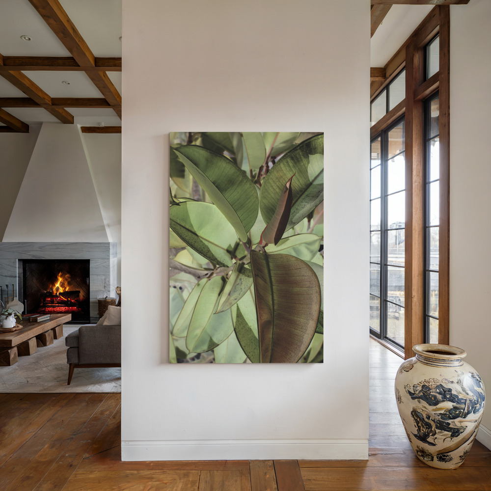Leinwandbild - Ficus Elastica am Kamin