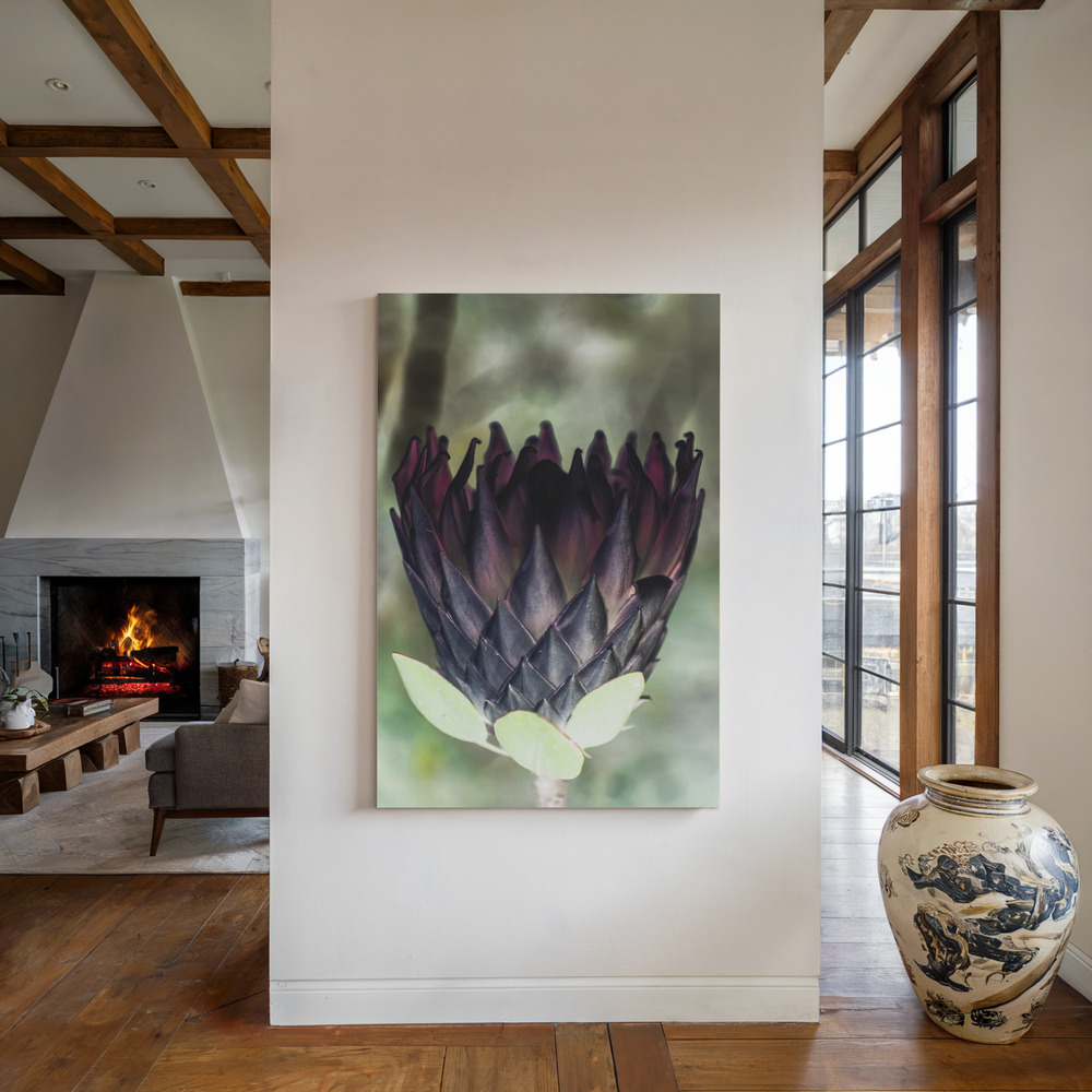Toile - King Protea 01 au coin du feu