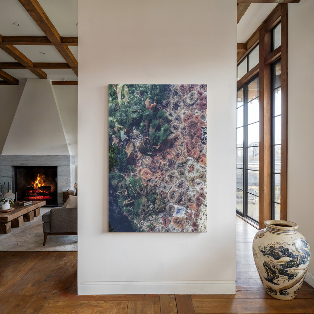 Canvas print - Ocean Curiosities by the fireplace
